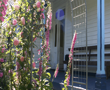 Devonport Bed And Breakfast - Accommodation Ballina