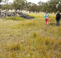 Carnarvon National Park camping - Accommodation Ballina