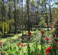 Werekataba - Accommodation Ballina