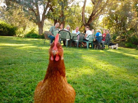 Baranduda Homestead B&B Cottages - Accommodation Ballina 9