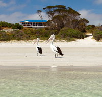 Kangaroo Island Star Beach House - Accommodation Ballina