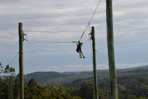 Allambee Camp - Accommodation Ballina 3