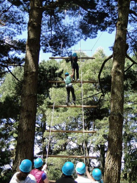 Allambee Camp - Accommodation Ballina 9