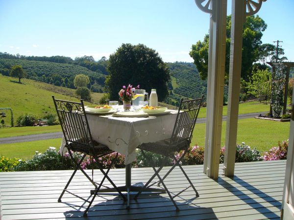 Howards Grass NSW Accommodation Ballina