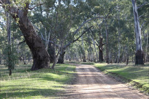 Hughes Park Cottage & Weddings - Accommodation Ballina 2