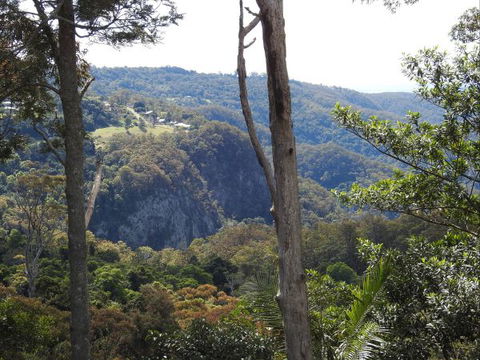 Mt Tamborine Motel - Accommodation Ballina 0