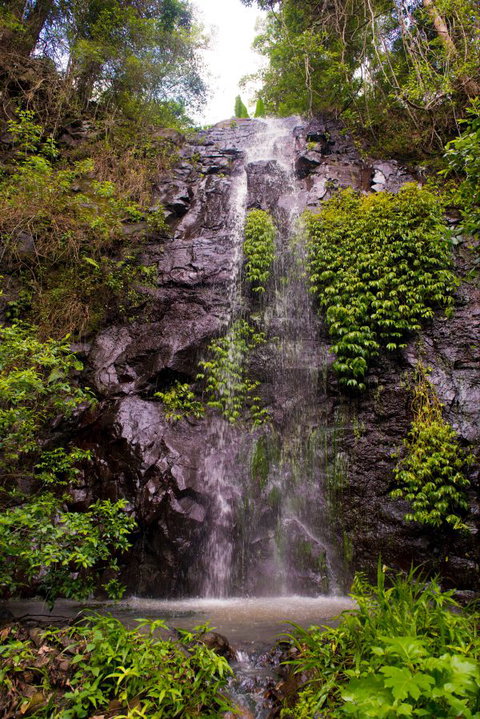 Nimbin Waterfall Retreat - Accommodation Ballina 0