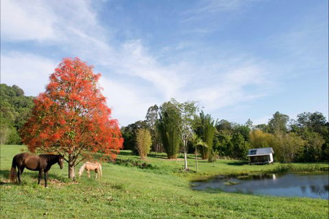 Nimbin Waterfall Retreat - Accommodation Ballina 1
