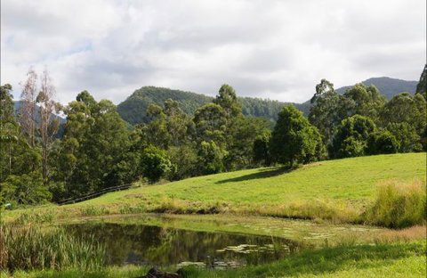 Nimbin Waterfall Retreat - Accommodation Ballina 3