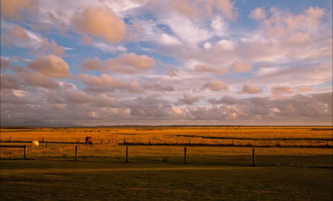 Sanctuary@Waratah - Accommodation Ballina 8