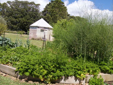 The Old Drik Drik Schoolhouse Retreat - Accommodation Ballina 6