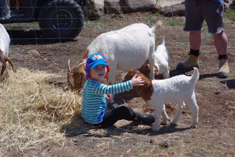 Yalooka Farm - Accommodation Ballina 3