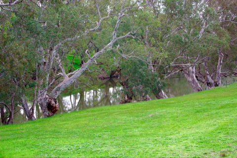 Yalooka Farm - Accommodation Ballina 4