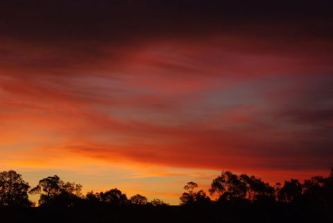 Yalooka Farm - Accommodation Ballina 5