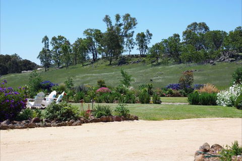 Yalooka Farm - Accommodation Ballina 6