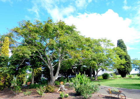 Forest Lodge Highfields - Accommodation Ballina 3