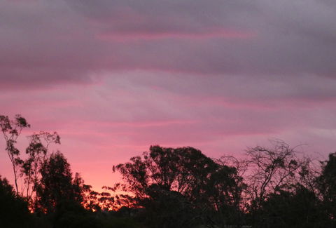 Forest Lodge Highfields - Accommodation Ballina 4