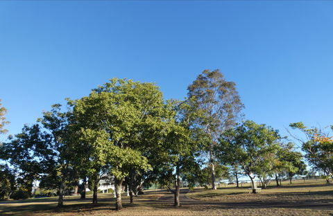 Forest Lodge Highfields - Accommodation Ballina 6