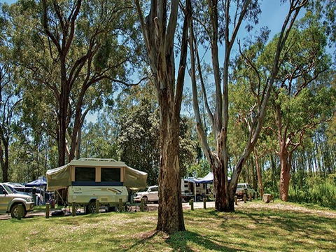 Korsmans Landing Campground And Picnic Area - Accommodation Ballina 4