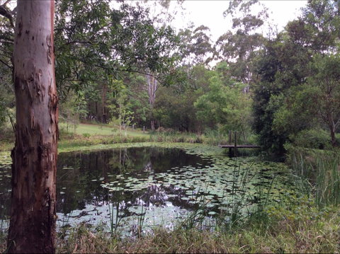 Maleny Country Cottages - Accommodation Ballina 3