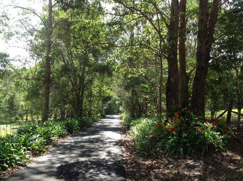 Maleny Country Cottages - Accommodation Ballina 8