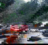 nightfall  camp - Accommodation Ballina