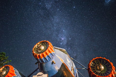 O'Reilly's Rainforest Retreat - Accommodation Ballina 4