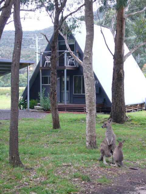 The A-Frame - Accommodation Ballina 0