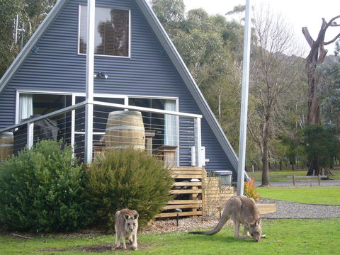 The A-Frame - Accommodation Ballina 9