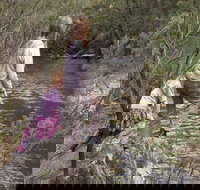 The Sink campground - Accommodation Ballina