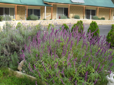 The Malone's Bed And Breakfast Guest Rooms - Accommodation Ballina 2