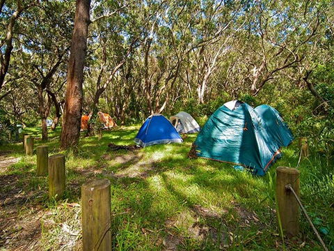 Yagon Campground - Accommodation Ballina 3