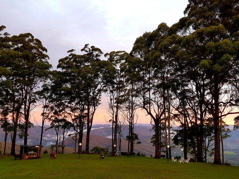 Aaronlee Retreat - Accommodation Ballina 1