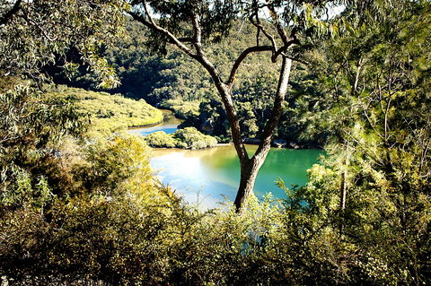 Calabash Bay Lodge - Accommodation Ballina 5