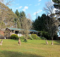 Cedar Lodge Cabins - Accommodation Ballina