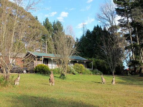 Cedar Lodge Cabins - Accommodation Ballina 0