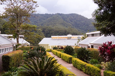 Eden Health Retreat - Accommodation Ballina 0