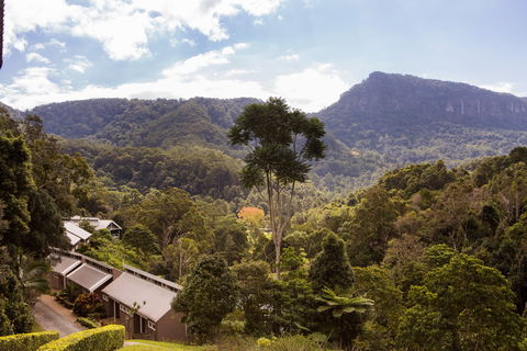 Eden Health Retreat - Accommodation Ballina 2