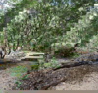 Eungella National Park camping