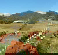 Farringdon Homestead - Accommodation Ballina