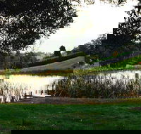 Gracefield Estate - Accommodation Ballina