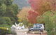 Halls Gap Caravan Park - thumb 0