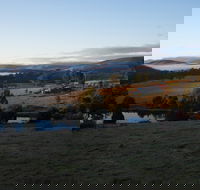 Hamlet Downs Country Accommodation