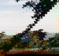 Hilltop Barn at Swan Bay - Accommodation Ballina