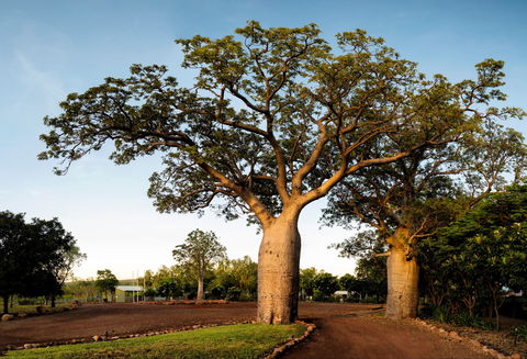 Home Valley Station - Accommodation Ballina 5