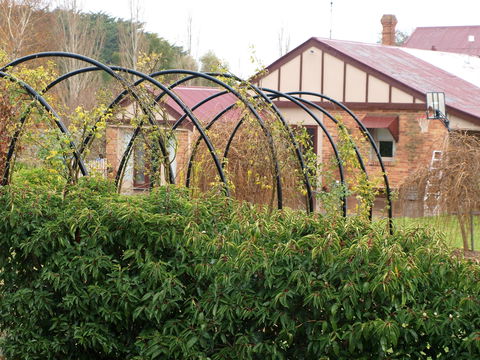 Pierrepoint Wines Bed & Breakfast - Accommodation Ballina 1