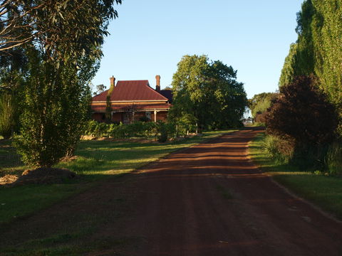 Pierrepoint Wines Bed & Breakfast - Accommodation Ballina 4