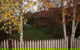Pierrepoint Wines Bed & Breakfast - thumb 6