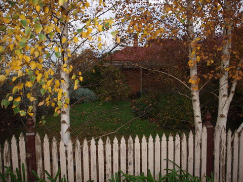 Pierrepoint Wines Bed & Breakfast - Accommodation Ballina 6