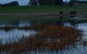 Pierrepoint Wines Bed & Breakfast - thumb 8